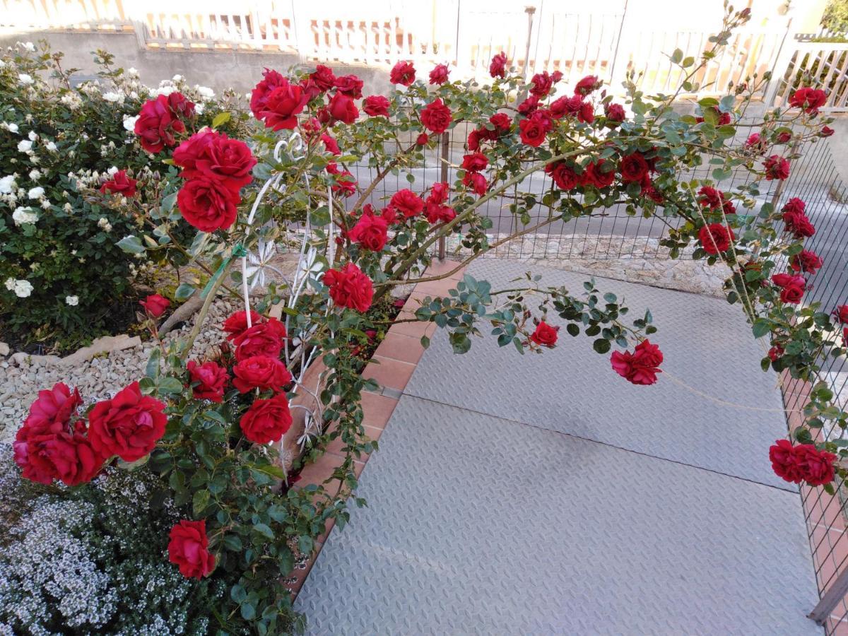 라마달레나 The Roses Garden B&B 외부 사진