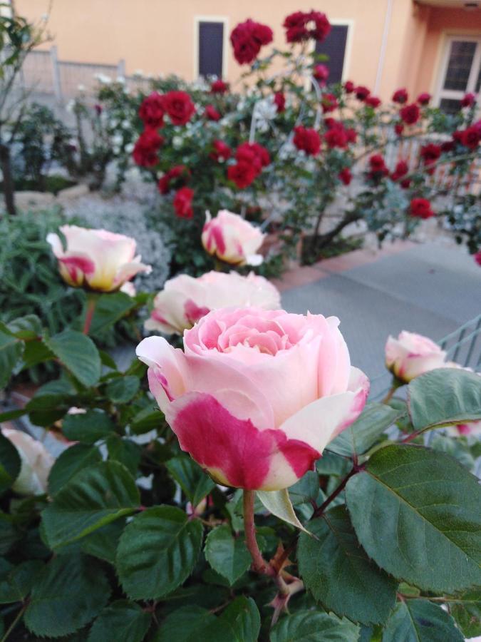라마달레나 The Roses Garden B&B 외부 사진