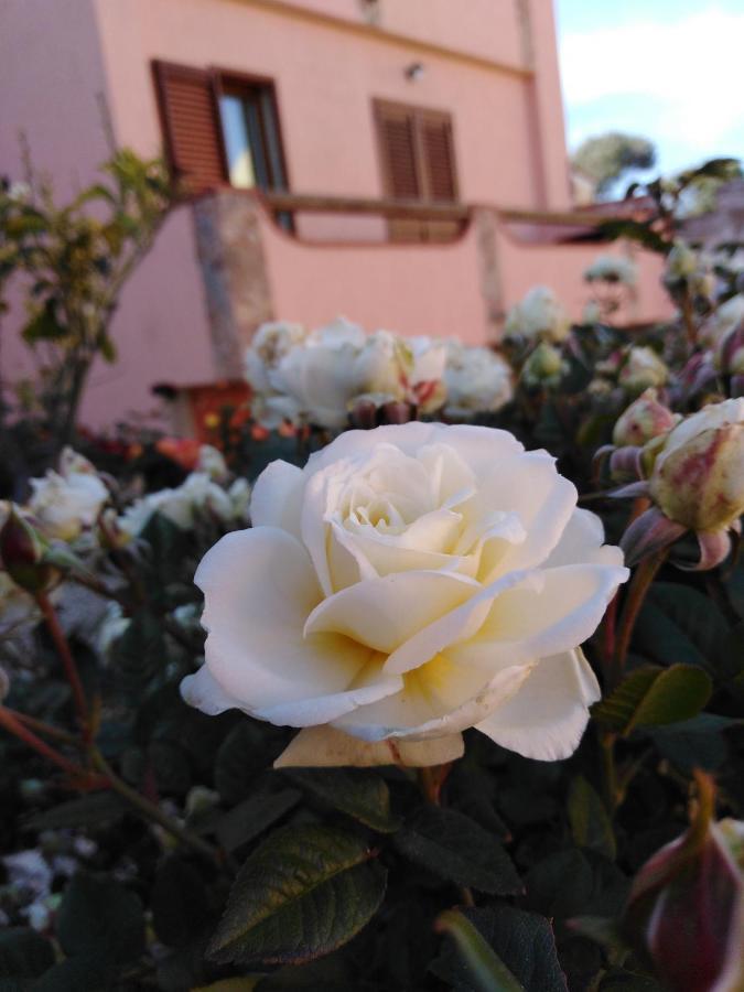 라마달레나 The Roses Garden B&B 외부 사진