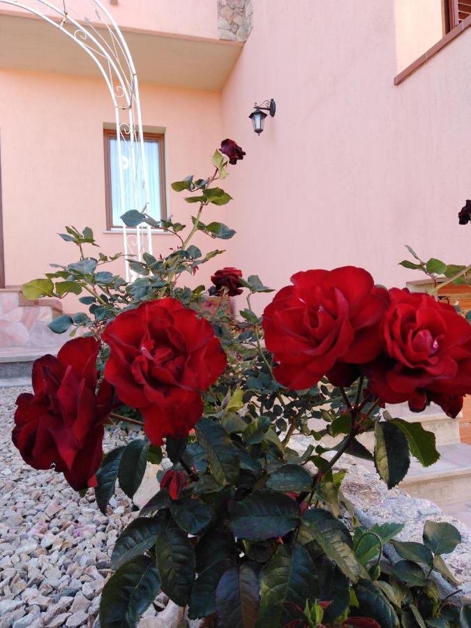 라마달레나 The Roses Garden B&B 외부 사진